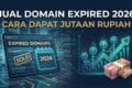 Jual Domain Expired 2026: Cara Dapat Jutaan Rupiah