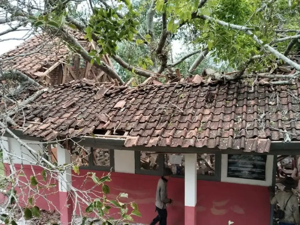Pohon Tumbang Timpa 6 Siswa SDN Sukasari Cianjur - Insiden Cuaca Ekstrem