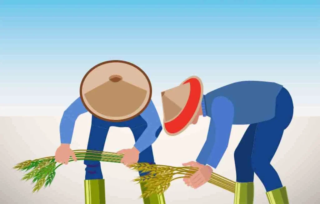 NTP Maret 2026 Turun 0,08%, Ini Penyebabnya